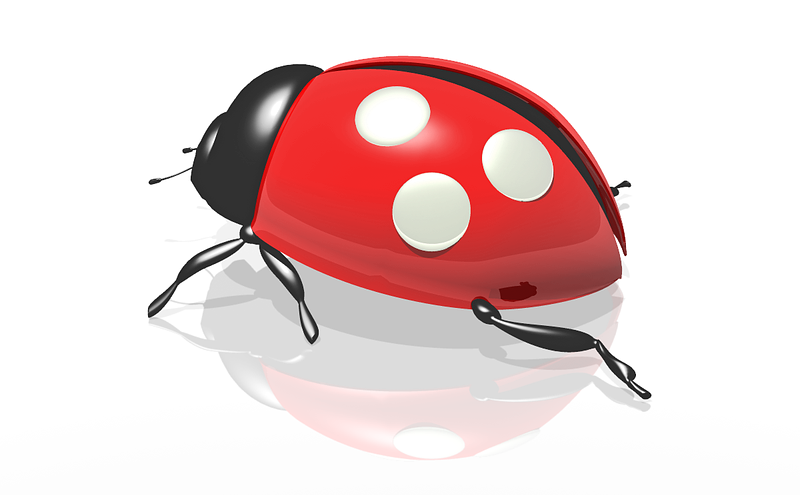 coccinelle